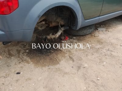Mr Bayo Olushola